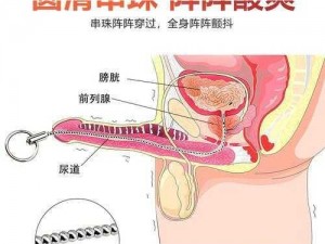 这款情趣玩具可以让男人玩尿道，体验不一样的刺激