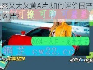 国产又爽又大又黄A片,如何评价国产又爽又大又黄 A 片？