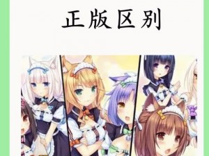 检查女子学院冷狐移植正版，体验高品质游戏