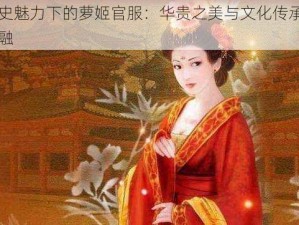 历史魅力下的萝姬官服：华贵之美与文化传承的交融