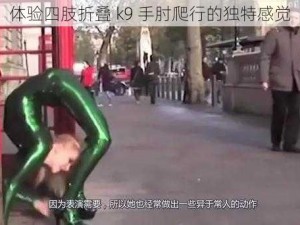 体验四肢折叠 k9 手肘爬行的独特感觉