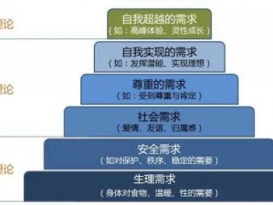 人性理论与 XY 理论：从理论到实践的探索