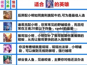 王者荣耀双排等级差异过大现象解析：影响与应对策略探究