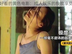 好看的黄色电影：成人娱乐的极致享受