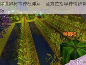 迷你世界树木种植详解：全方位指导种树步骤与技巧