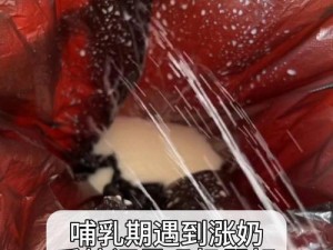 成人挤奶水哺乳 XXX，科学、健康、安全的挤奶设备，帮助哺乳期妈妈轻松解决涨奶问题