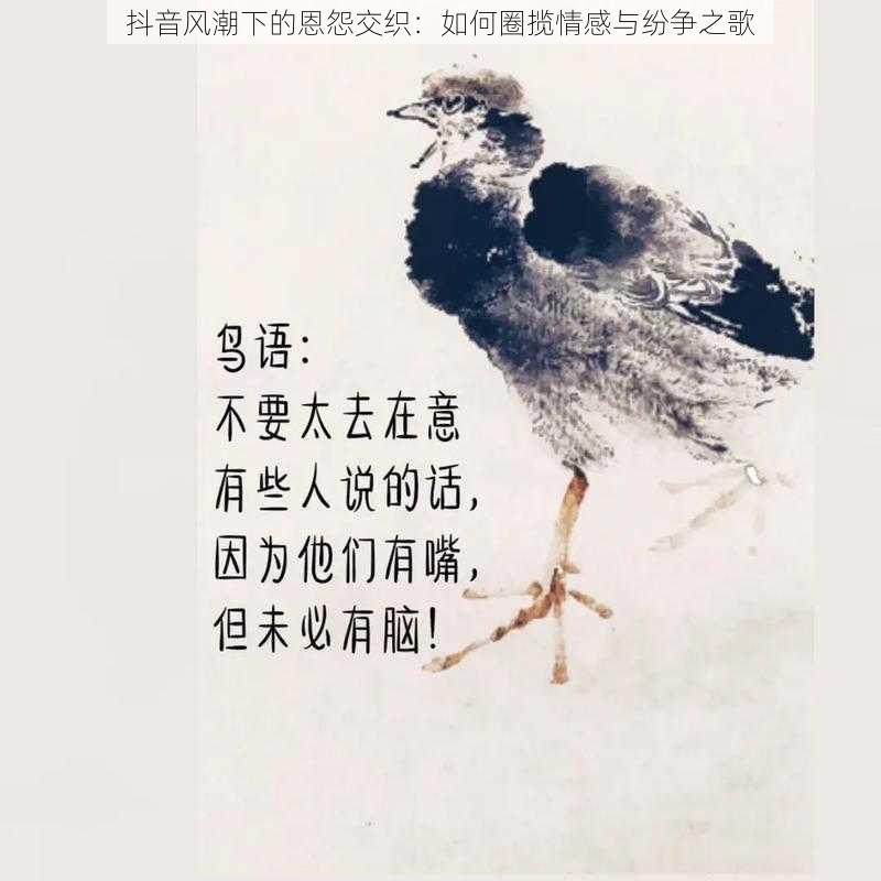 抖音风潮下的恩怨交织：如何圈揽情感与纷争之歌