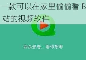 一款可以在家里偷偷看 B 站的视频软件