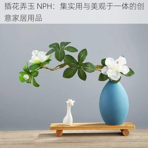 插花弄玉 NPH：集实用与美观于一体的创意家居用品