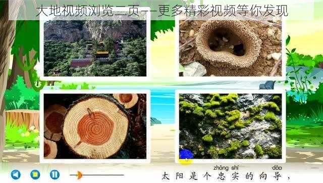 大地视频浏览二页——更多精彩视频等你发现