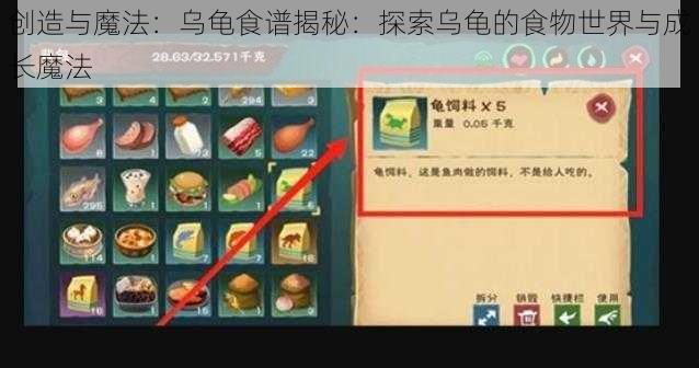 创造与魔法：乌龟食谱揭秘：探索乌龟的食物世界与成长魔法