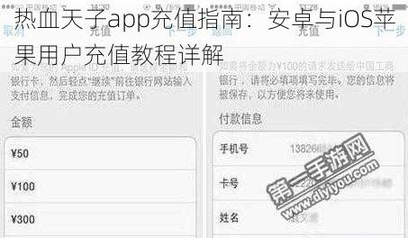 热血天子app充值指南：安卓与iOS苹果用户充值教程详解