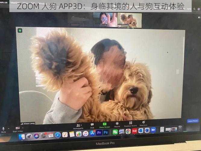 ZOOM 人狗 APP3D：身临其境的人与狗互动体验