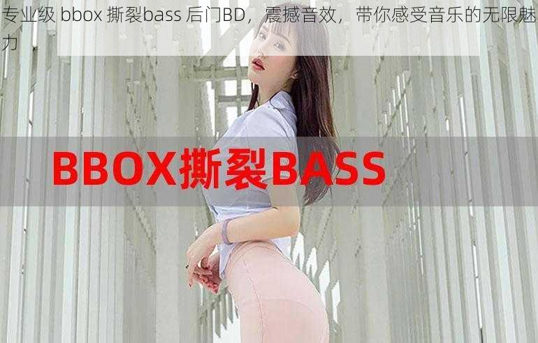 专业级 bbox 撕裂bass 后门BD，震撼音效，带你感受音乐的无限魅力