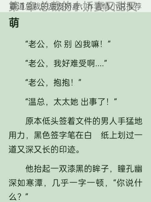 霸道总裁的甜宠娇妻：h 言情小说推荐