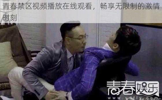 青春禁区视频播放在线观看，畅享无限制的激情时刻