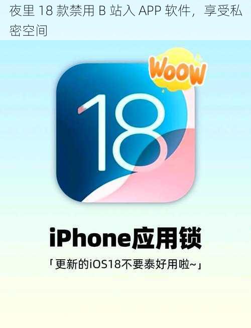 夜里 18 款禁用 B 站入 APP 软件，享受私密空间