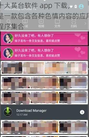 十大黄台软件 app 下载，是一款包含各种色情内容的应用程序集合