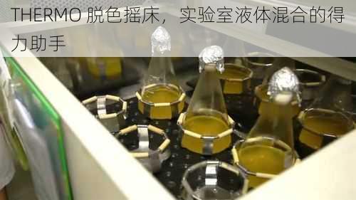 THERMO 脱色摇床，实验室液体混合的得力助手