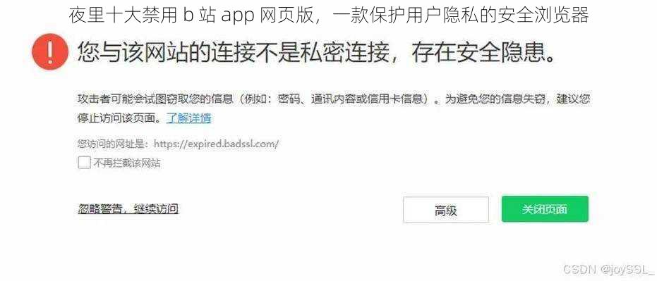 夜里十大禁用 b 站 app 网页版，一款保护用户隐私的安全浏览器