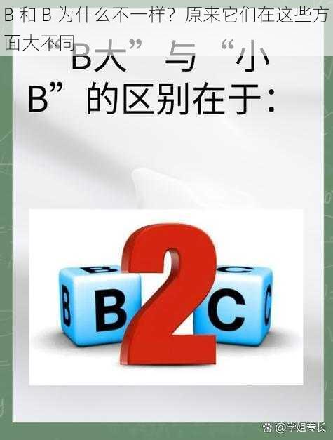 B 和 B 为什么不一样？原来它们在这些方面大不同