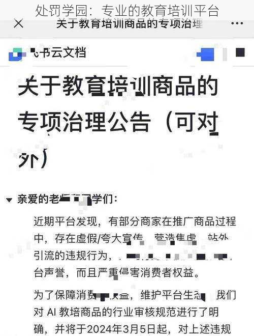 处罚学园：专业的教育培训平台