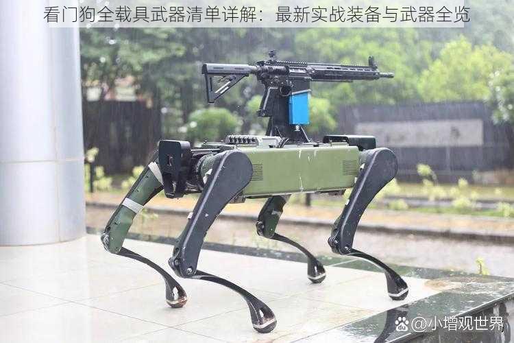 看门狗全载具武器清单详解：最新实战装备与武器全览