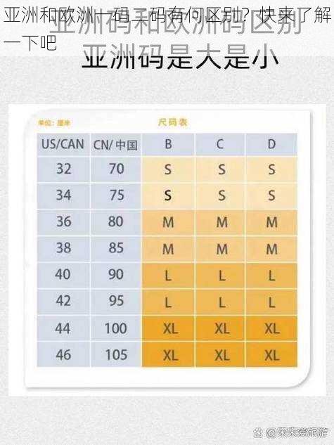 亚洲和欧洲一码二码有何区别？快来了解一下吧