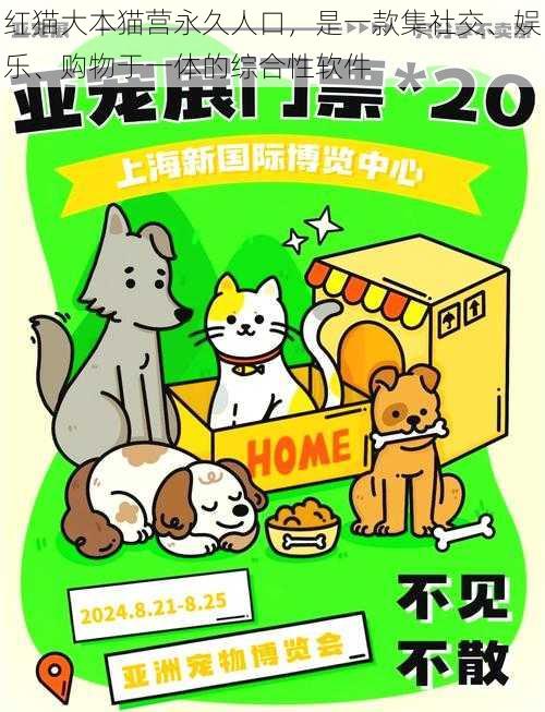 红猫大本猫营永久人口，是一款集社交、娱乐、购物于一体的综合性软件