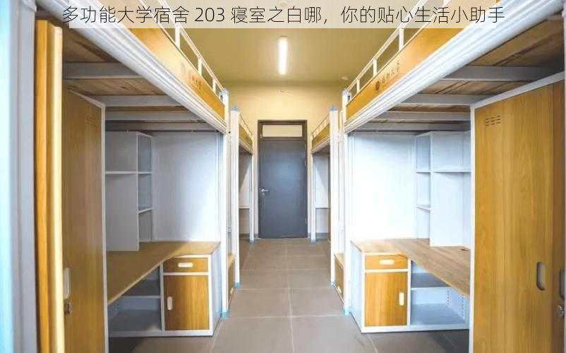 多功能大学宿舍 203 寝室之白哪，你的贴心生活小助手