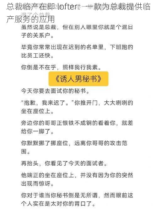 总裁临产在即 lofter：一款为总裁提供临产服务的应用