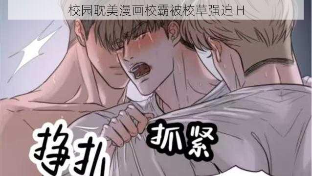 校园耽美漫画校霸被校草强迫 H