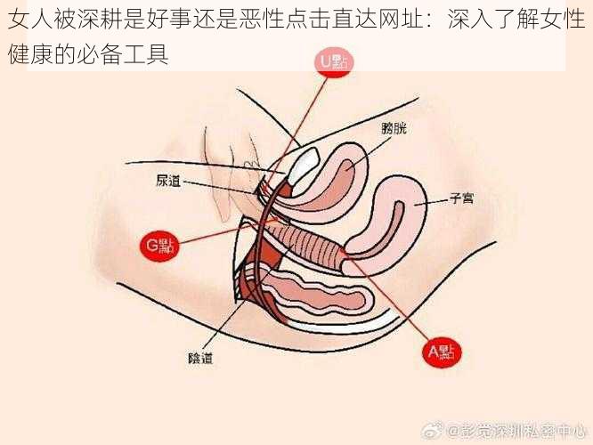 女人被深耕是好事还是恶性点击直达网址：深入了解女性健康的必备工具