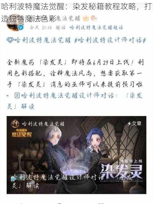 哈利波特魔法觉醒：染发秘籍教程攻略，打造独特魔法色彩