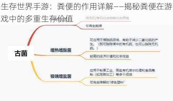 生存世界手游：粪便的作用详解——揭秘粪便在游戏中的多重生存价值