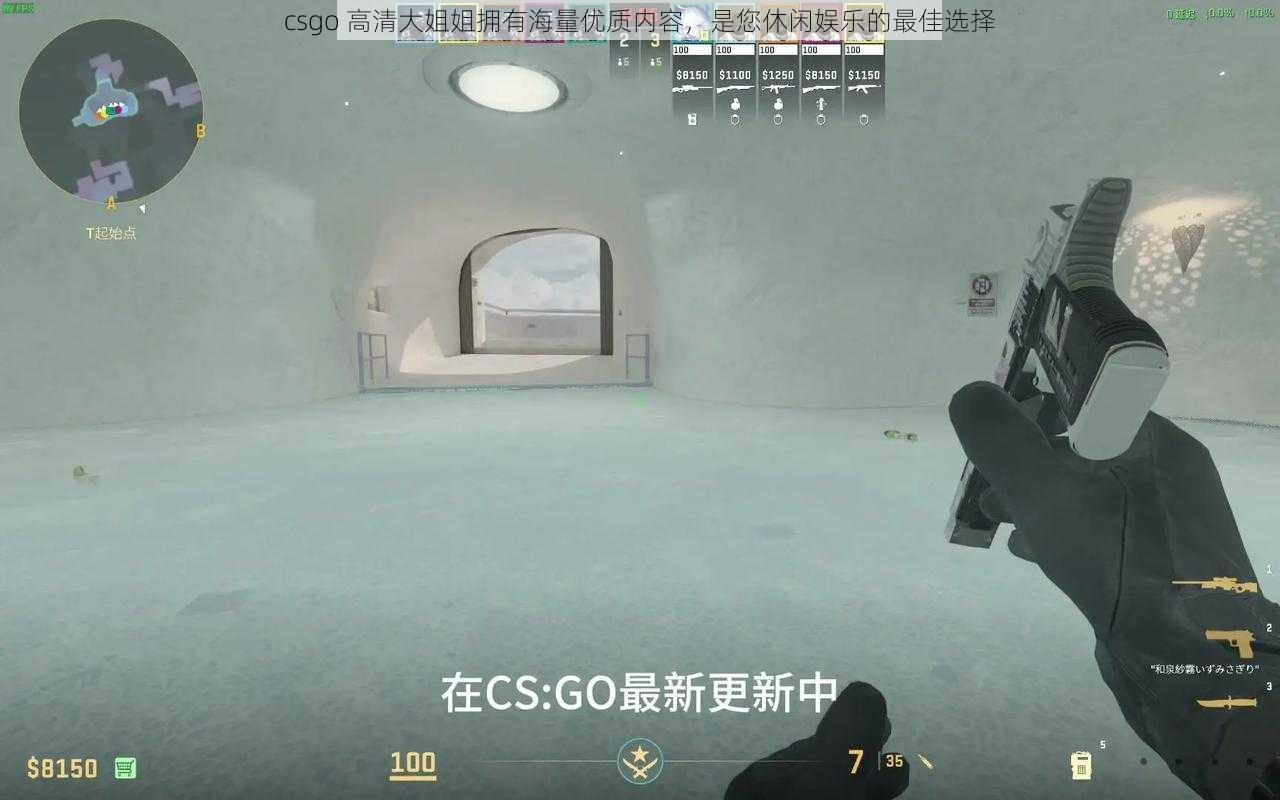 csgo 高清大姐姐拥有海量优质内容，是您休闲娱乐的最佳选择