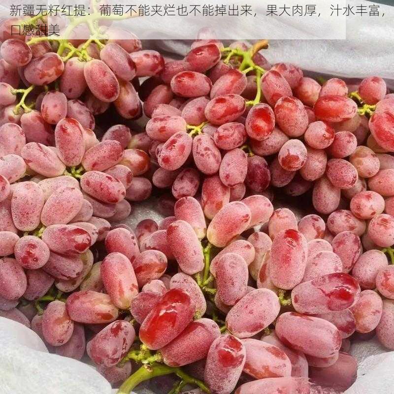 新疆无籽红提：葡萄不能夹烂也不能掉出来，果大肉厚，汁水丰富，口感甜美