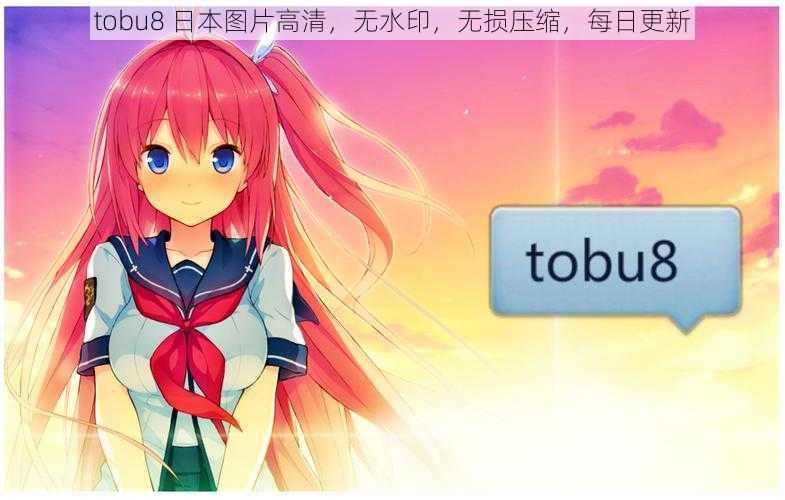 tobu8 日本图片高清，无水印，无损压缩，每日更新