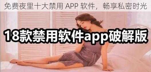 免费夜里十大禁用 APP 软件，畅享私密时光