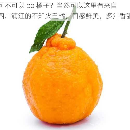 可不可以 po 橘子？当然可以这里有来自四川浦江的不知火丑橘，口感鲜美，多汁香甜