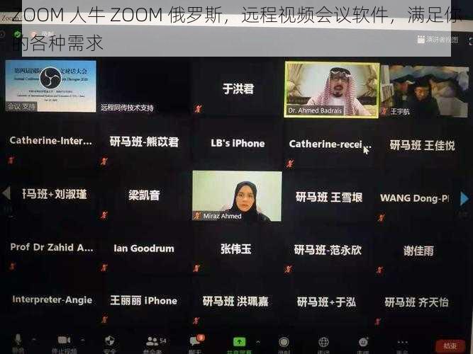 ZOOM 人牛 ZOOM 俄罗斯，远程视频会议软件，满足你的各种需求