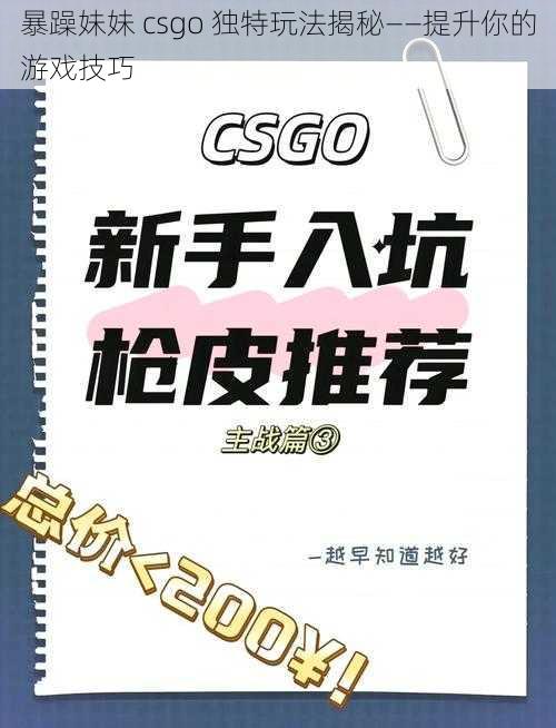 暴躁妹妹 csgo 独特玩法揭秘——提升你的游戏技巧