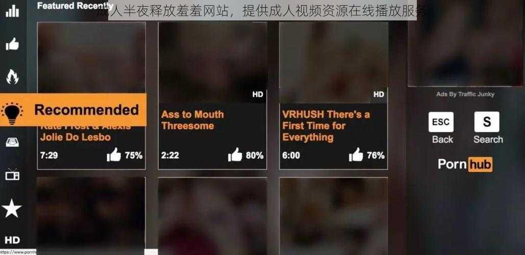 成人半夜释放羞羞网站，提供成人视频资源在线播放服务