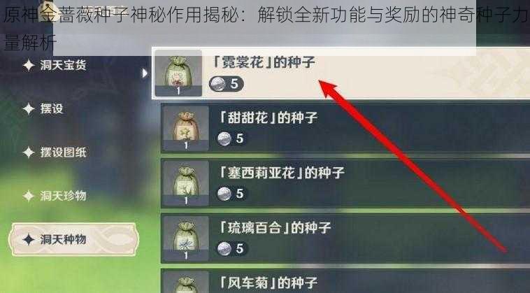 原神金蔷薇种子神秘作用揭秘：解锁全新功能与奖励的神奇种子力量解析