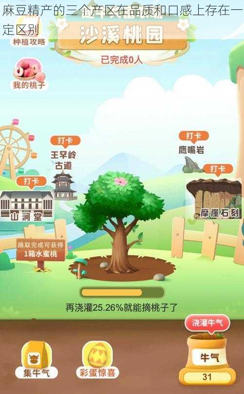 麻豆精产的三个产区在品质和口感上存在一定区别