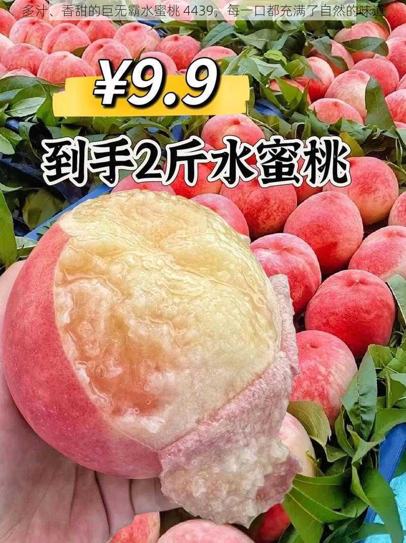 多汁、香甜的巨无霸水蜜桃 4439，每一口都充满了自然的味道