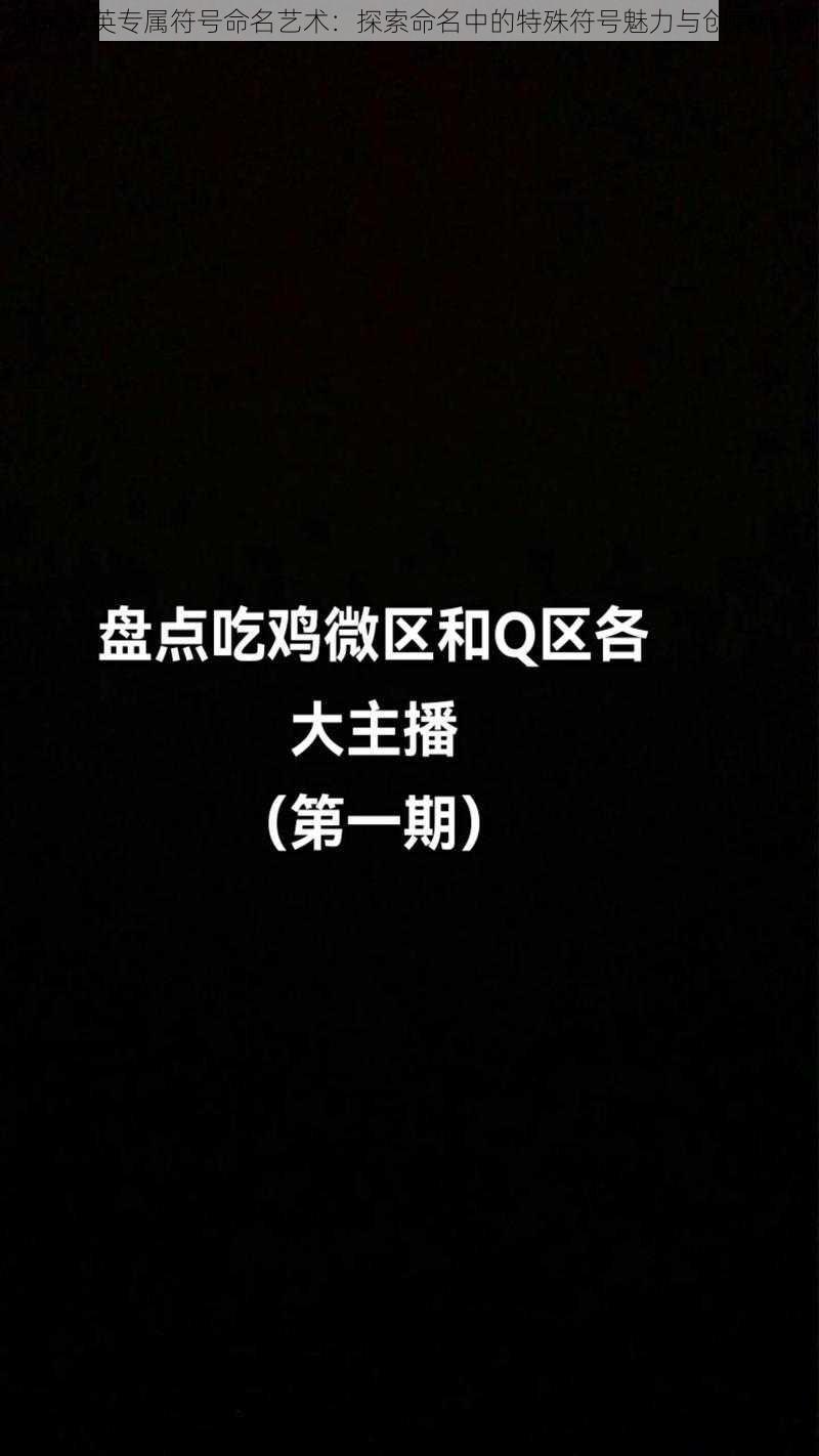 和平精英专属符号命名艺术：探索命名中的特殊符号魅力与创意无限