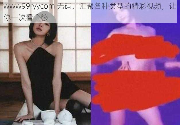 www99ryycom 无码，汇聚各种类型的精彩视频，让你一次看个够