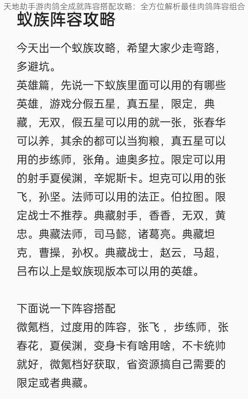 天地劫手游肉鸽全成就阵容搭配攻略：全方位解析最佳肉鸽阵容组合