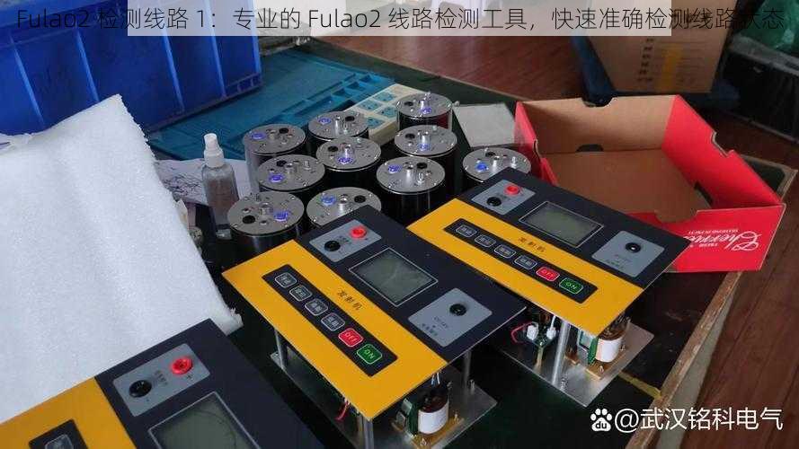 Fulao2 检测线路 1：专业的 Fulao2 线路检测工具，快速准确检测线路状态